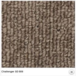 Samur Challenger 800